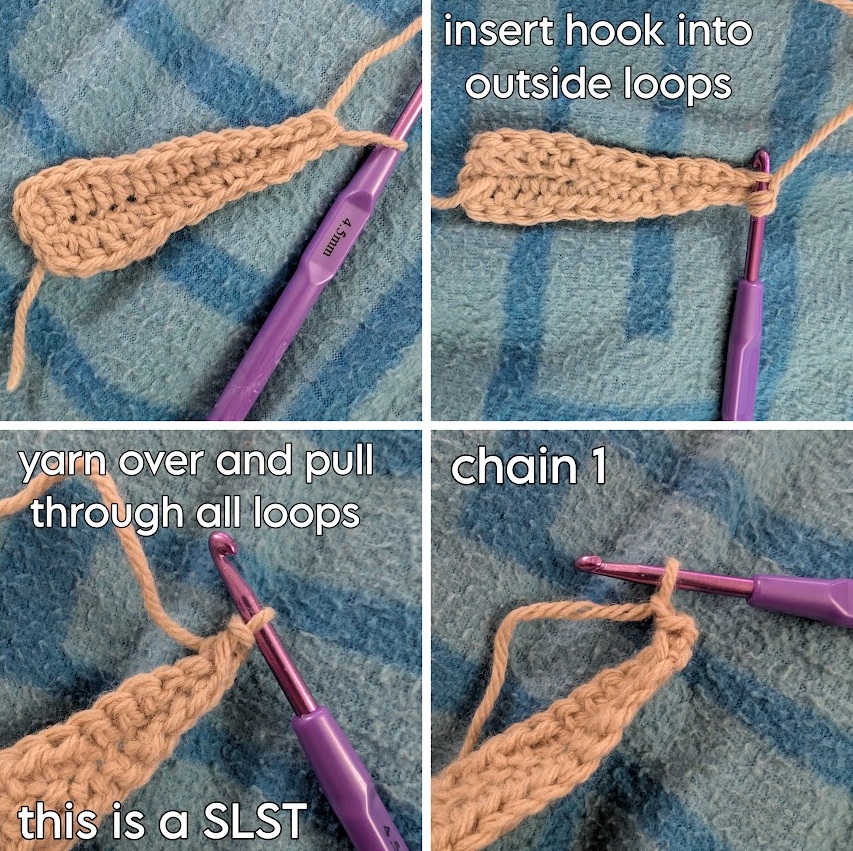 Instructions for crocheting the slip stitch and chain 1.